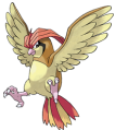 Pidgeotto.png