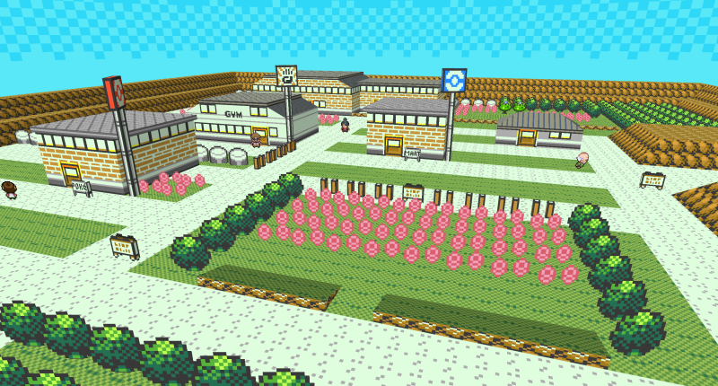 File:Pewter City.png